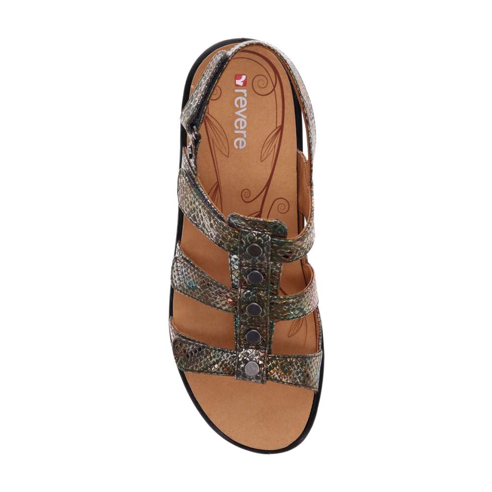 Toledo Slingback Sandal - Peacock Python