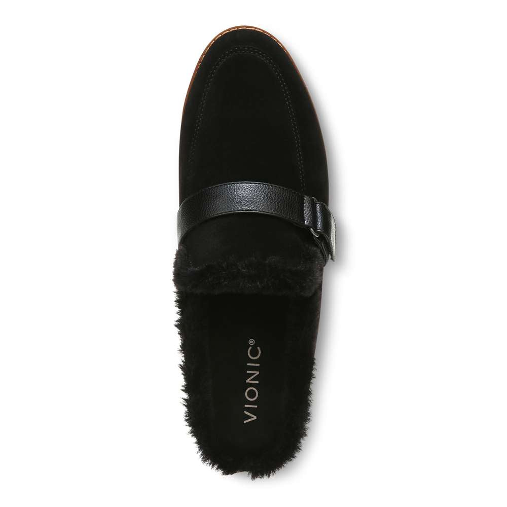 Kailen Mule - Black Suede
