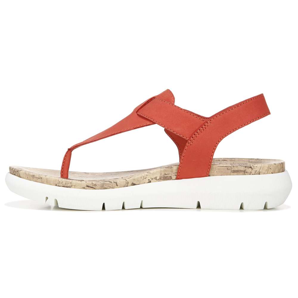 Lincoln Sandal - Coral