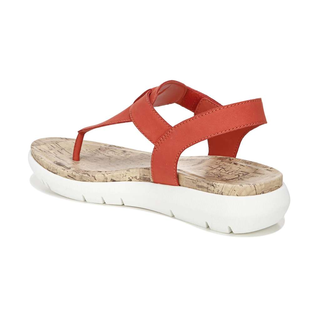 Lincoln Sandal - Coral