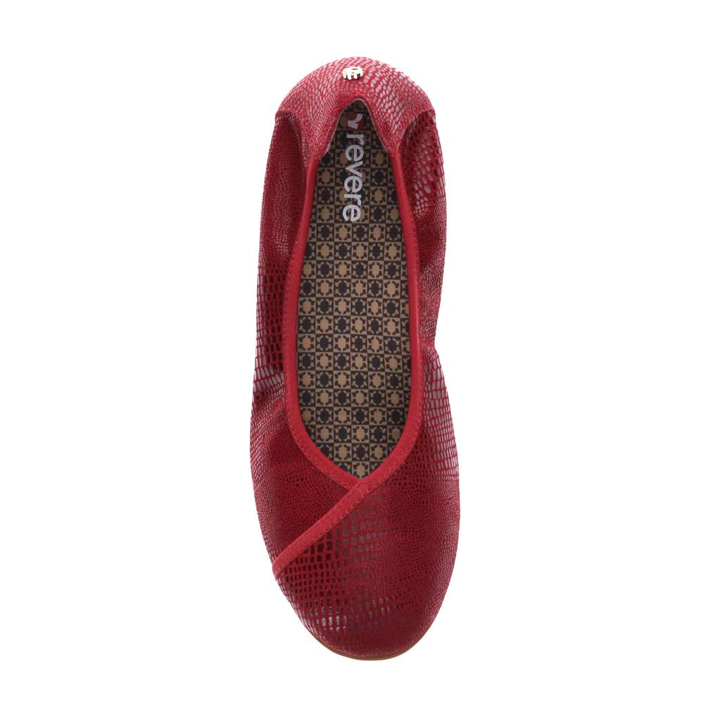 Nairobi Ballet - Cherry Lizard