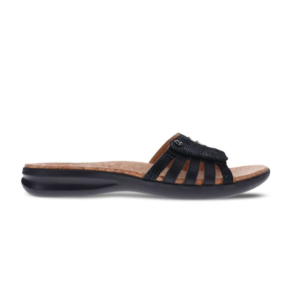 Peru Slide - Black Lizard
