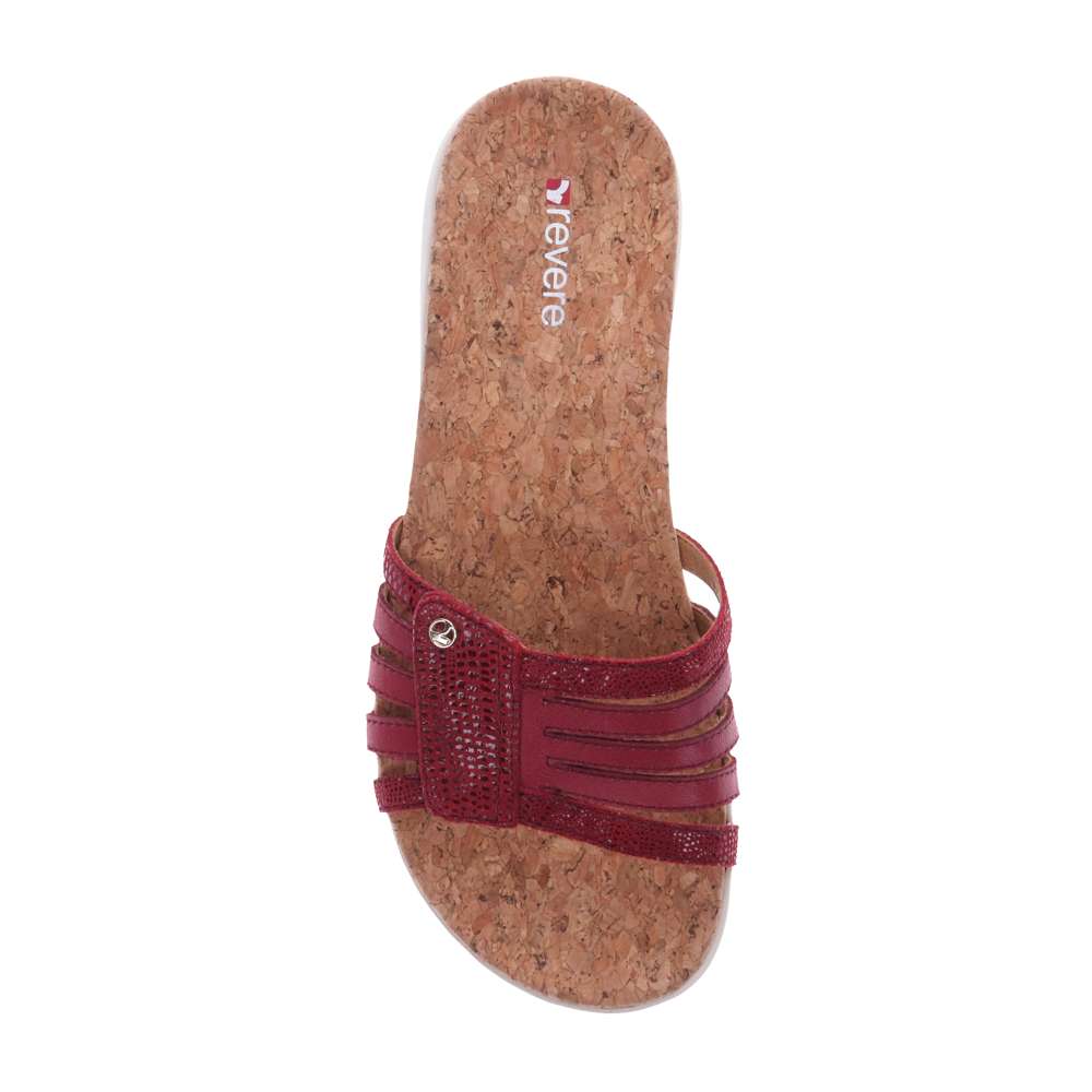 Peru Slide - Cherry Lizard
