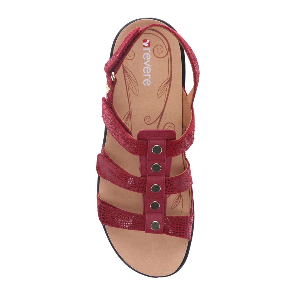 Toledo Back Strap Sandal - Cherry French/Lizard