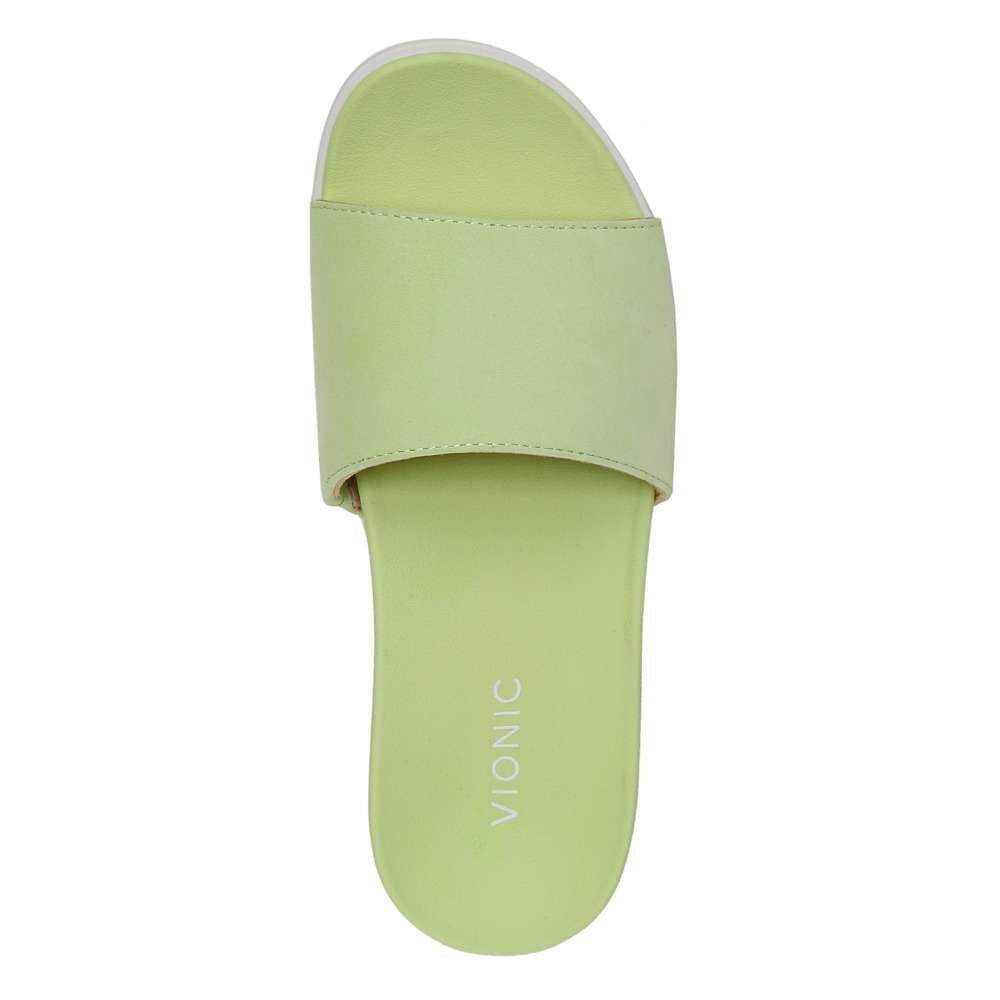 Val Slide - Pale Lime